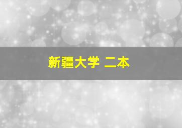 新疆大学 二本